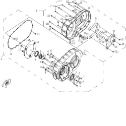 carter cvt 3