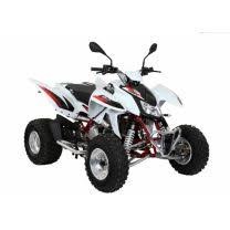 TRITON 300S